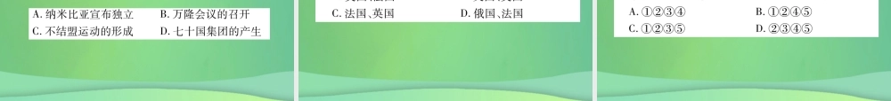 九年级历史下册 第5单元 冷战和苏美对峙的世界 第19课 亚非拉国家的新发展自主学习课件 新人教版 课件