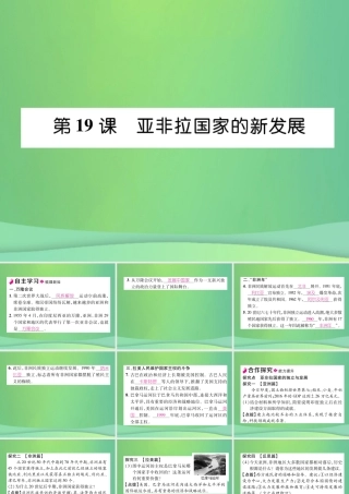 九年级历史下册 第5单元 冷战和苏美对峙的世界 第19课 亚非拉国家的新发展自主学习课件 新人教版 课件