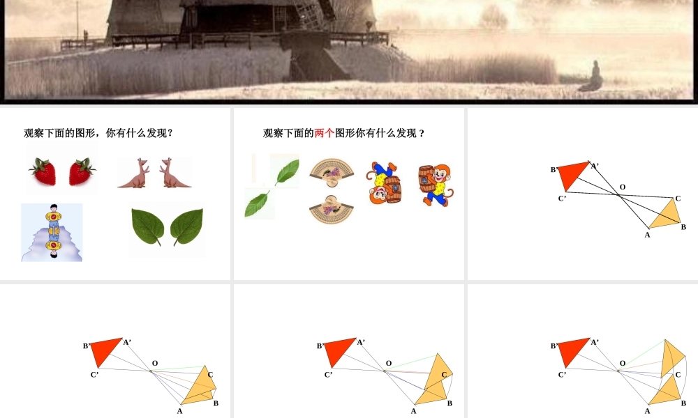 北师大数学八年级下册第三章图形的平移与旋转中心对称