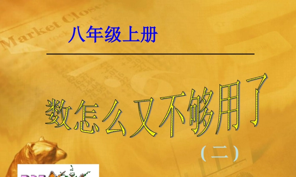 八年级数学上册 第二章第一节 数怎么又不够用了(二)课件 北师大版 课件