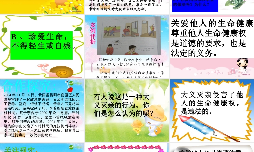八年级政治下册 同样的权利同样的爱课件 人教新课标版 课件