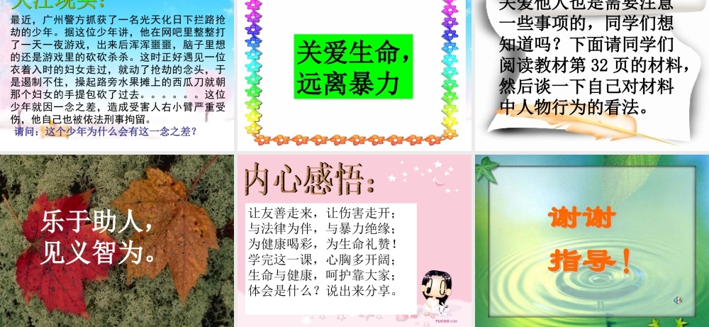 八年级政治下册 同样的权利同样的爱课件 人教新课标版 课件