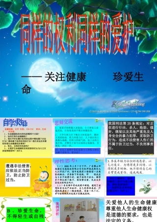 八年级政治下册 同样的权利同样的爱课件 人教新课标版 课件
