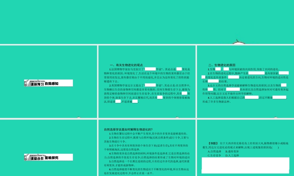 八年级生物下册 6.3.2 生命的起源(第2课时)课件 (新版)冀教版 课件