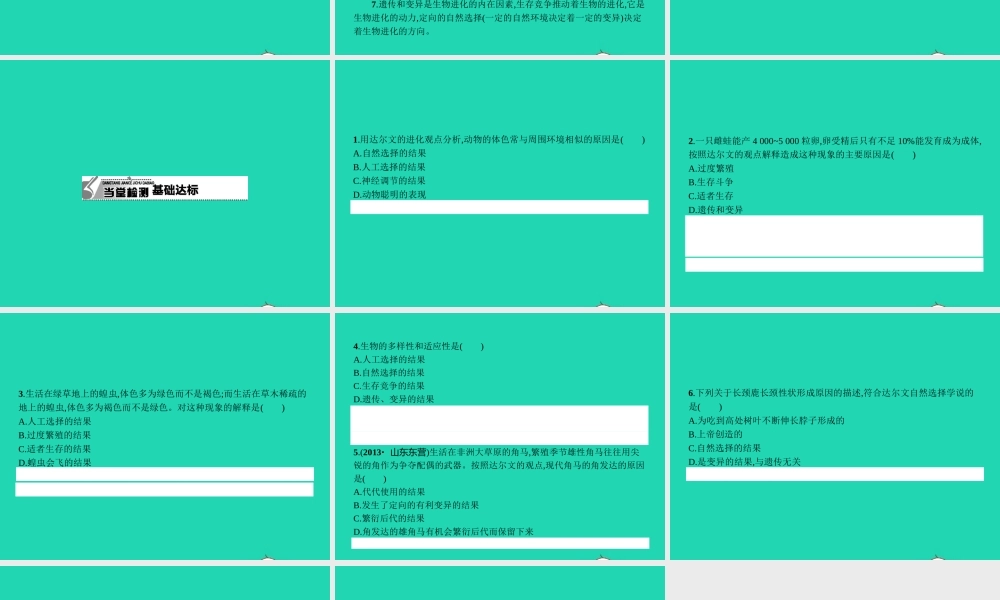 八年级生物下册 6.3.2 生命的起源(第2课时)课件 (新版)冀教版 课件