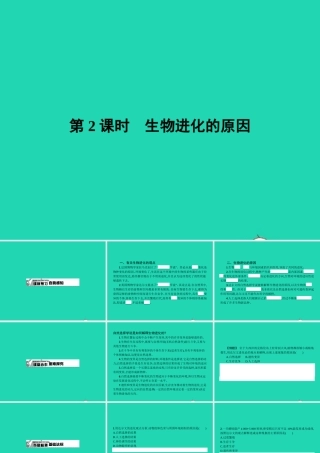 八年级生物下册 6.3.2 生命的起源(第2课时)课件 (新版)冀教版 课件