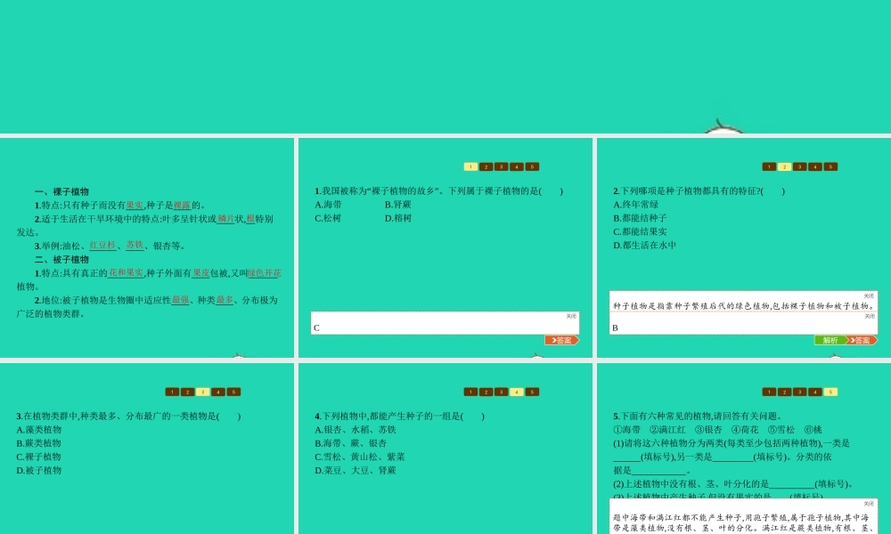 七年级生物上册 2.1.1 绿色植物的主要类群(第2课时 种子植物)课件 (新版)济南版 课件