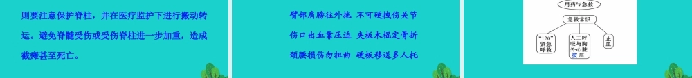 八年级生物下册 8.2 用药和急救课件(新版)新人教版 课件