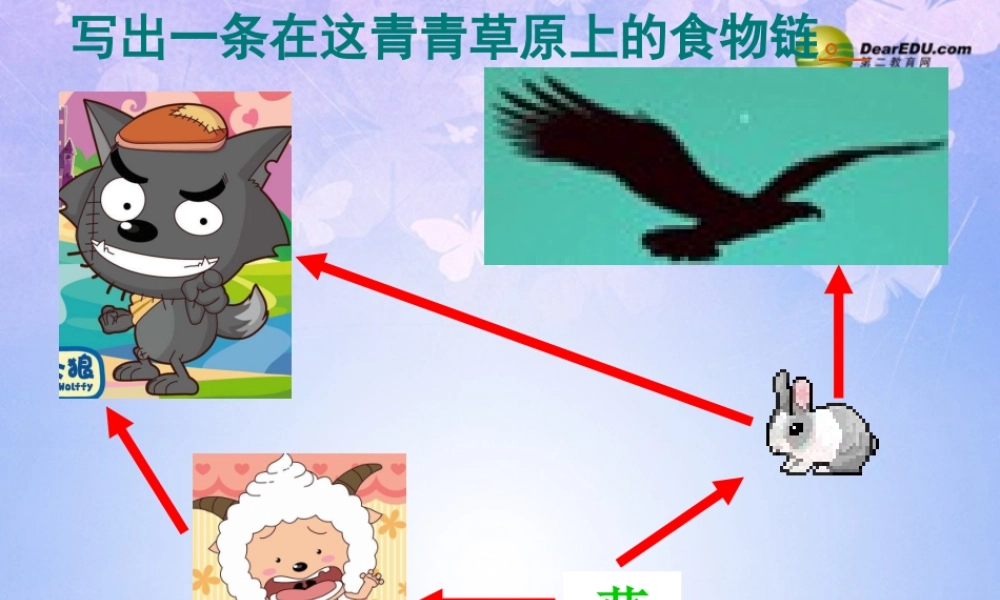 八年级生物上册 19.2 生态系统中的能量流动课件 (新版)苏教版 课件
