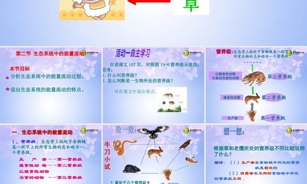 八年级生物上册 19.2 生态系统中的能量流动课件 (新版)苏教版 课件