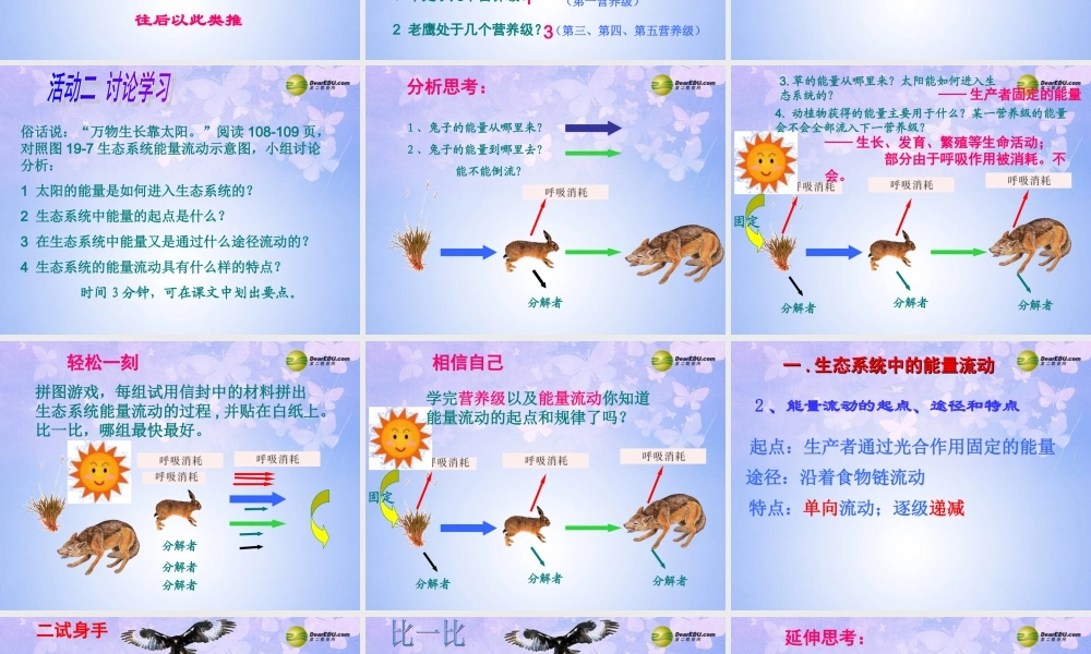 八年级生物上册 19.2 生态系统中的能量流动课件 (新版)苏教版 课件