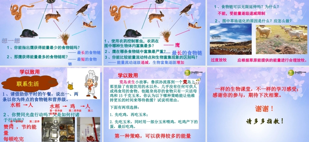 八年级生物上册 19.2 生态系统中的能量流动课件 (新版)苏教版 课件