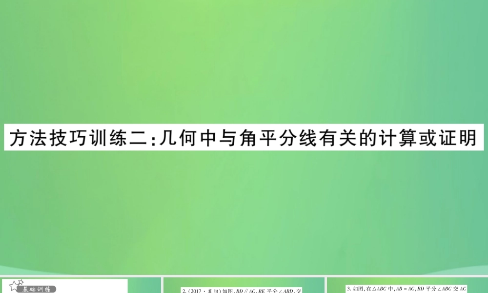 中考数学复习 第一轮 考点系统复习 第四章 三角形 方法技巧训练二 几何中与角平分线有关的计算或证明(精练)课件