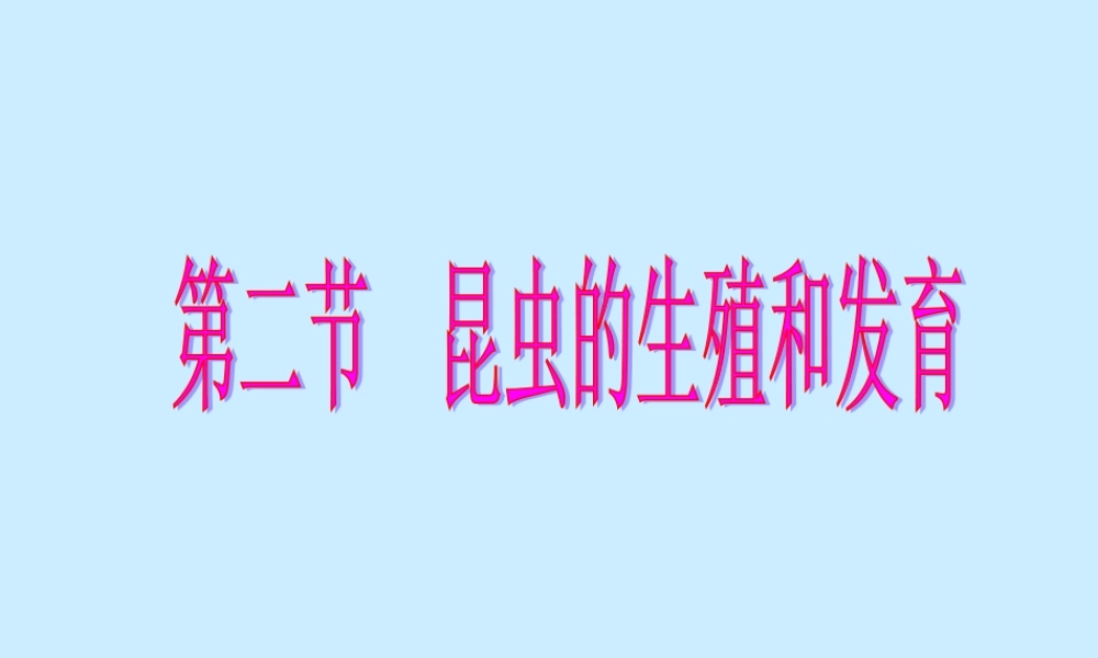 八年级生物新人教版昆虫的生殖和发育ppt2 课件