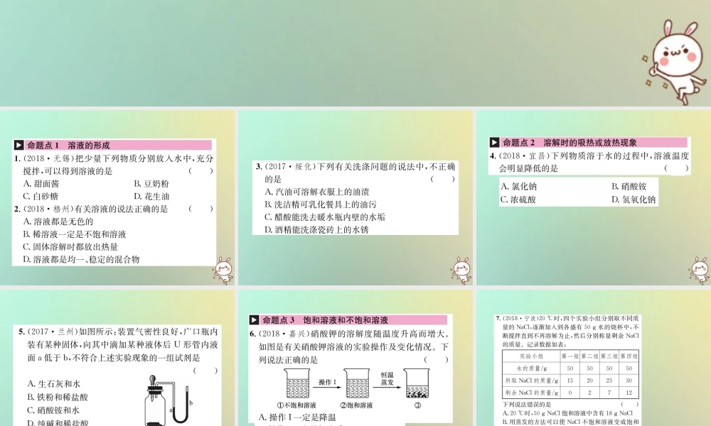 中考化学复习 主题一 身边的化学物质 第4讲 溶液课件