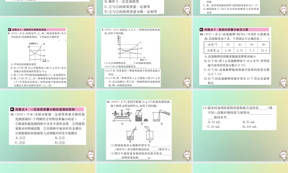 中考化学复习 主题一 身边的化学物质 第4讲 溶液课件