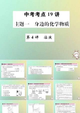 中考化学复习 主题一 身边的化学物质 第4讲 溶液课件