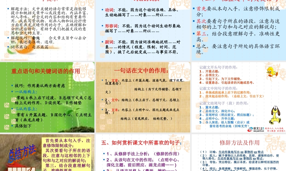 (精品课件)中考记叙文阅读指导(56张)2