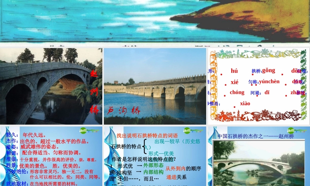 八年级语文上册 第三单元第11课(中国石拱桥)课件 人教新课标版 课件