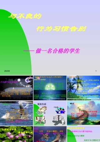 班风学风班会《与不良的行为习惯告别——做一名合格的学生》PPT课件
