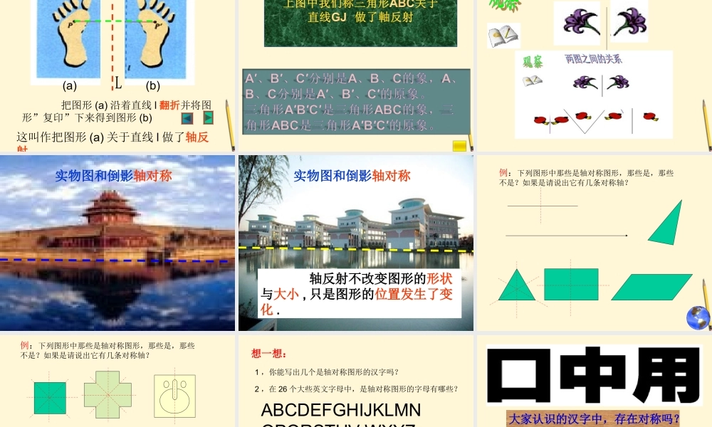 七年级数学下册 5.1(轴反射与轴对称图形)课件3 湘教版  课件
