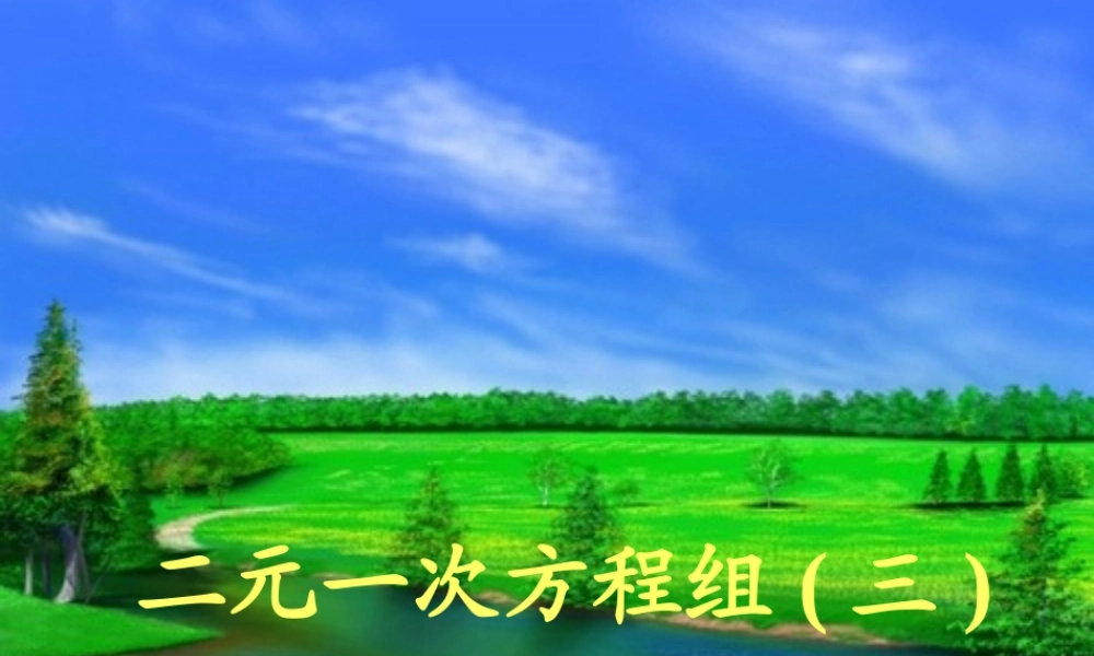 七年级数学二元一次方程组(三)课件鲁教版 课件