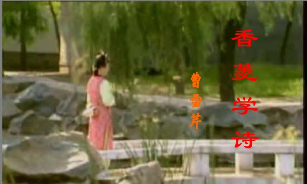 九年级语文上册(香菱学诗)课件 人教新课标版 课件