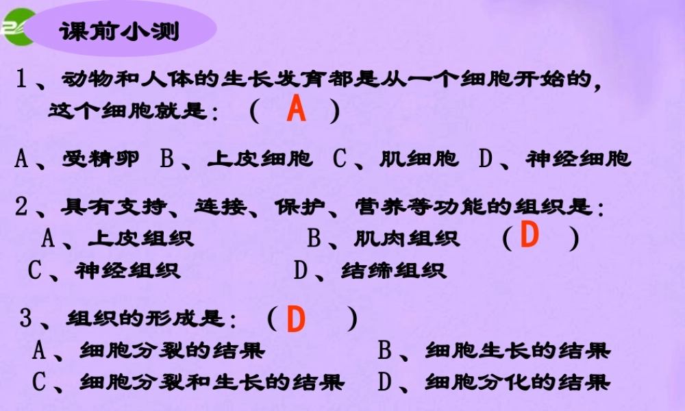 七年级生物上册 植物体的结构层次课件 人教新课标版 课件