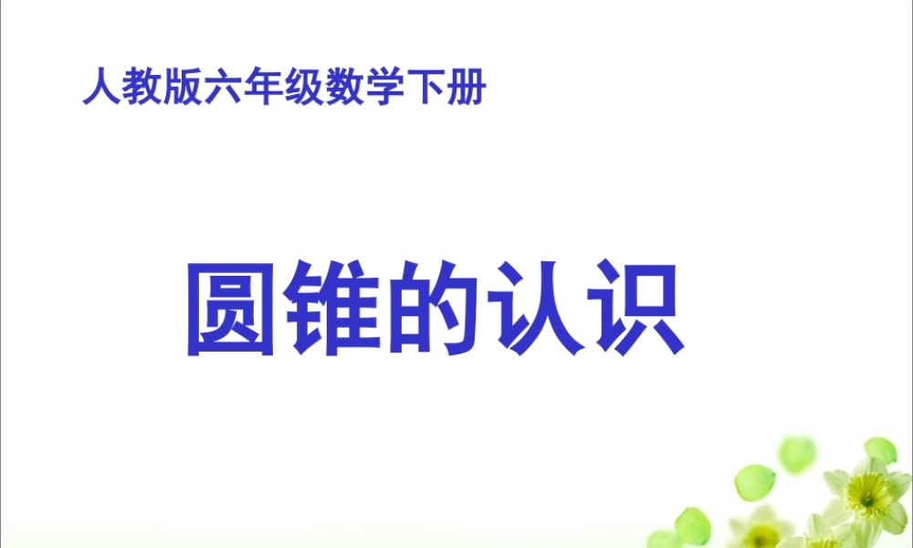 《圆锥的认识和体积》教学课件