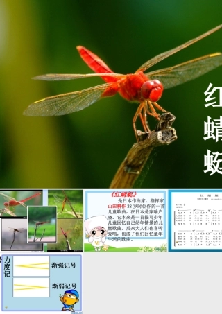 冯静玲课件)