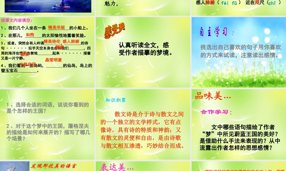 中学七年级语文上册 24 蔚蓝的王国课件2 (新版)苏教版 课件