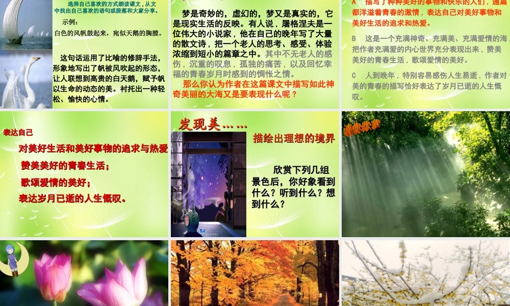 中学七年级语文上册 24 蔚蓝的王国课件2 (新版)苏教版 课件