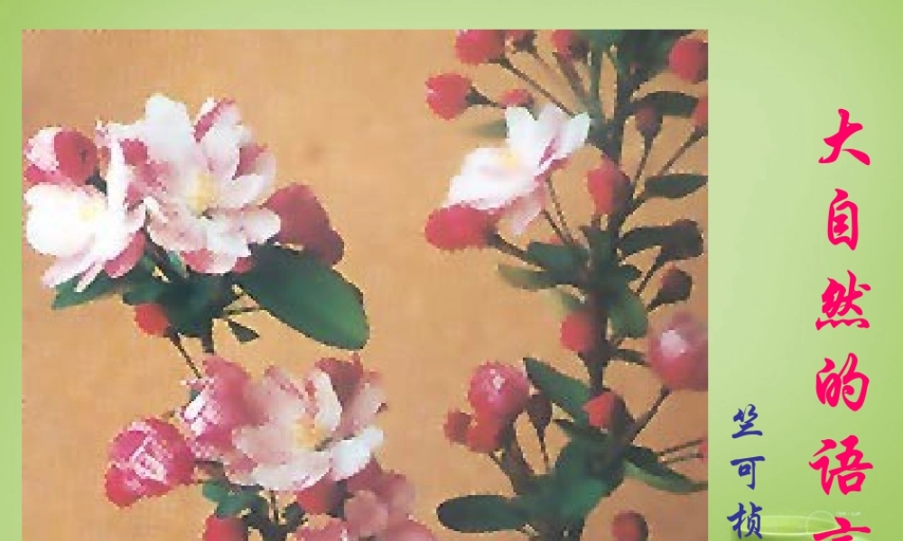 八年级语文上册16(大自然的语言)课件1 新人教版 课件