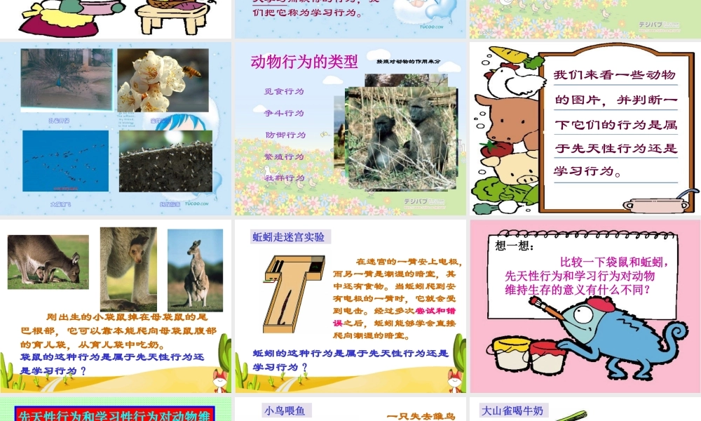 先天行为与学习行为