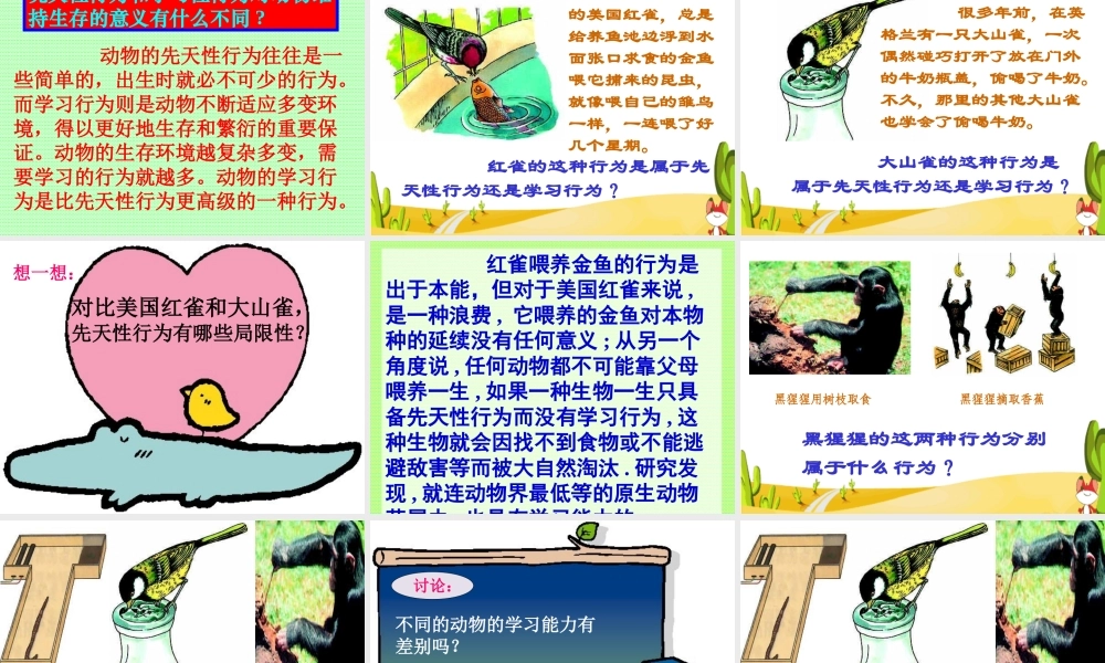 先天行为与学习行为