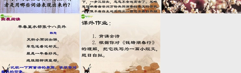 七年级语文下册 (钱塘湖春行)课件 鄂教版 课件