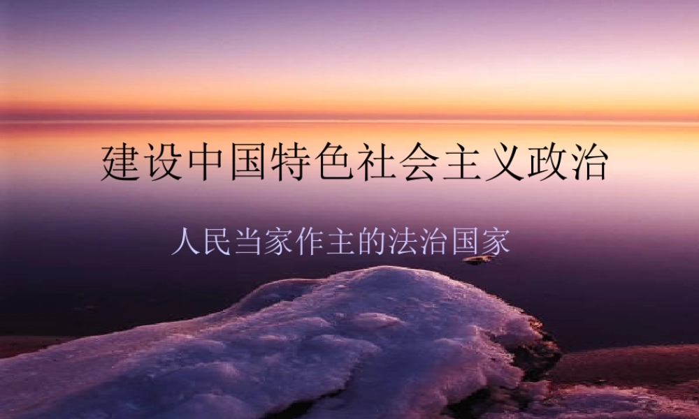 人民当家作主的法治国家课件示例二 课件