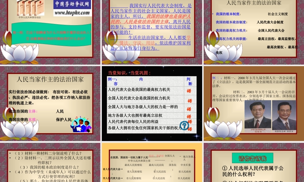 人民当家作主的法治国家课件示例二 课件
