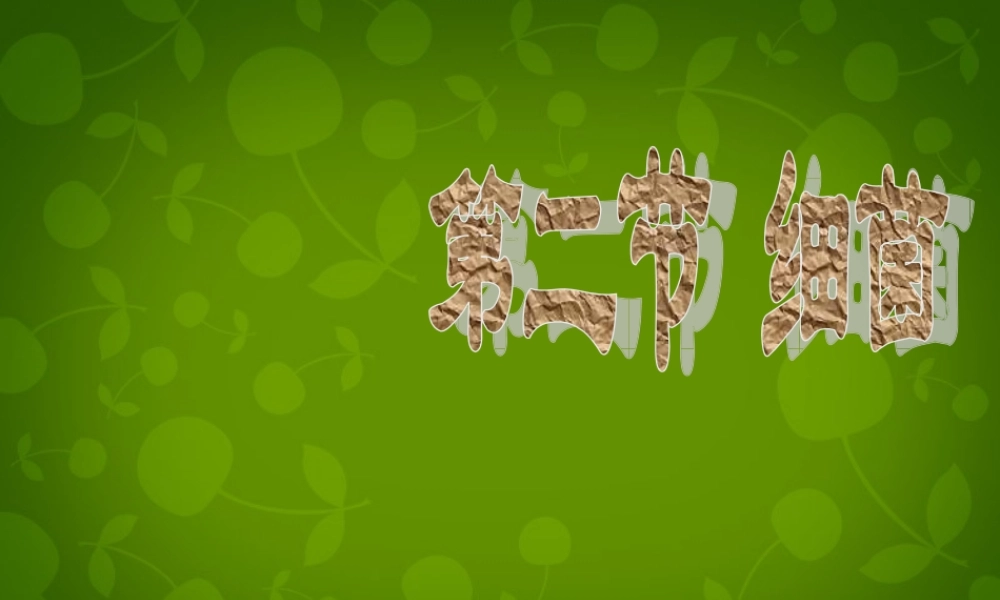 八年级生物上册 5.4.2 细菌课件 新人教版 课件