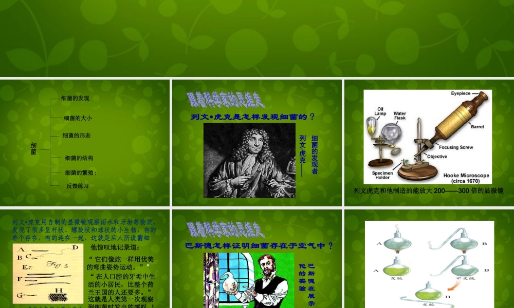 八年级生物上册 5.4.2 细菌课件 新人教版 课件