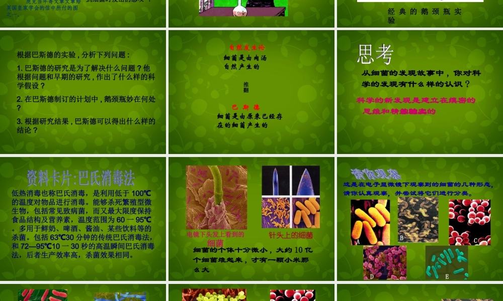 八年级生物上册 5.4.2 细菌课件 新人教版 课件