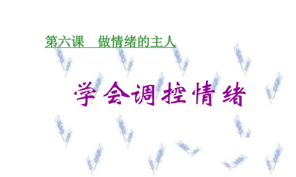 学会调控情绪 (2)