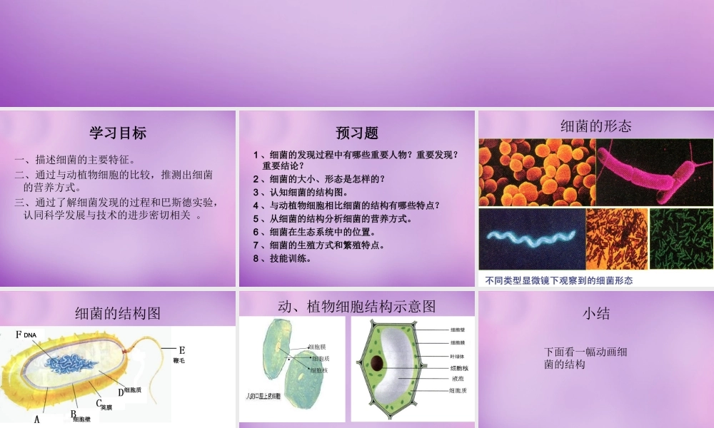 七年级生物上册 2.3.2 细菌课件 (新版)济南版 课件