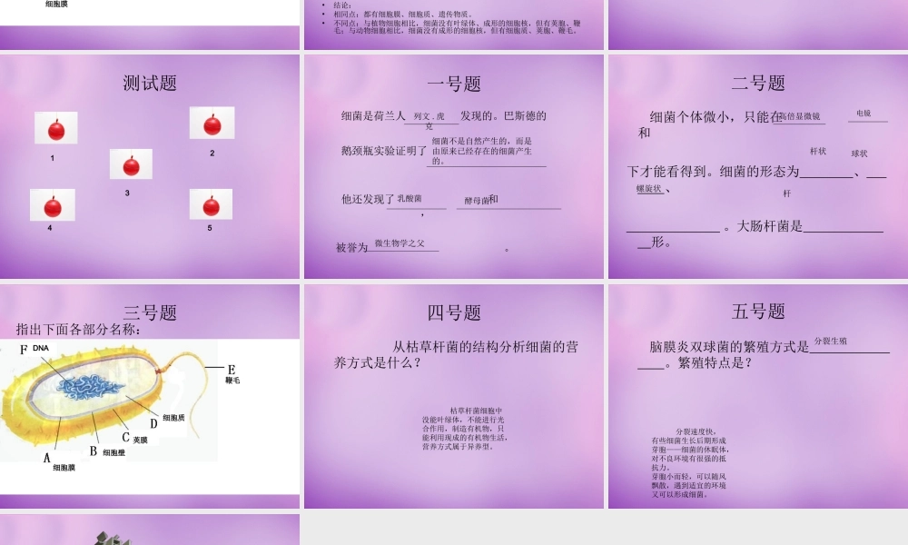 七年级生物上册 2.3.2 细菌课件 (新版)济南版 课件
