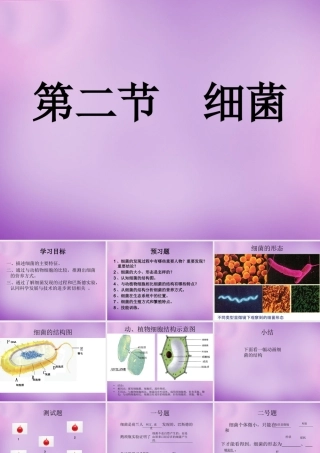 七年级生物上册 2.3.2 细菌课件 (新版)济南版 课件