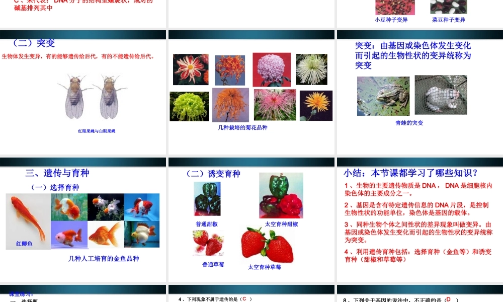 八年级生物上册 第二节生物的遗传物质课件 北京课改版 课件