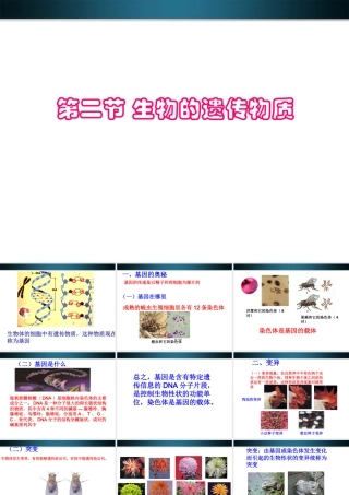 八年级生物上册 第二节生物的遗传物质课件 北京课改版 课件