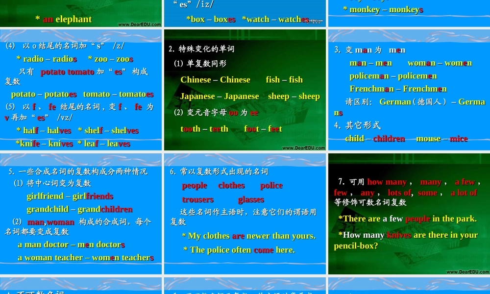 初三英语复习 名词 课件