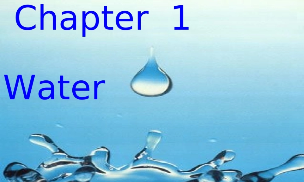 八年级英语上册 CHAPTER ONE Water 课件 牛津深圳版 课件