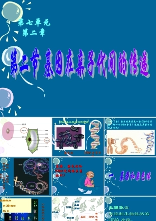 基因在亲子代间的传递八年级生物课件示例一 课件